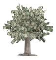 money_tree